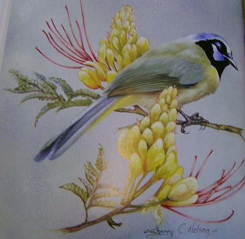 Painting Songbirds with Sherry C. Nelson: 15 Beautiful Birds in Oil
